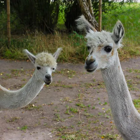 Der Valk Otel Apeldoorn