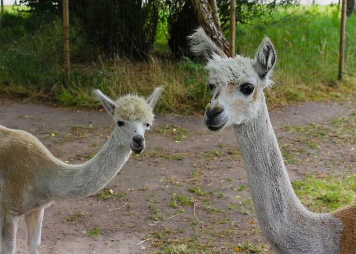 Der Valk 호텔 아펠도른