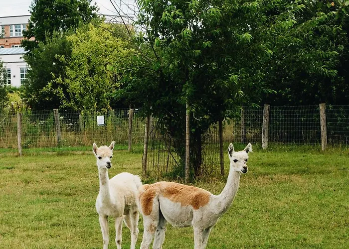 Der Valk Szálloda Apeldoorn